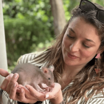 Fancy Rats and Hero Rats with Alizé Carrère